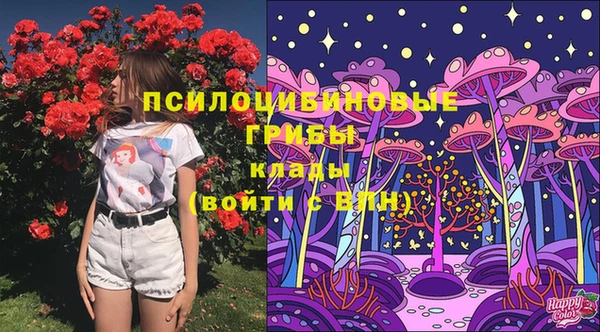 герыч Богородск