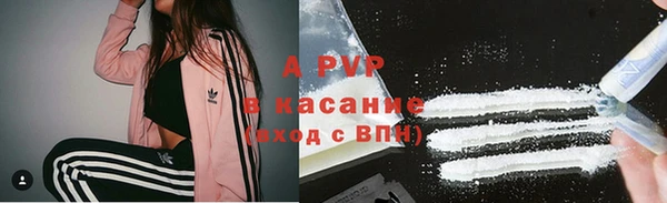 крисы Богданович