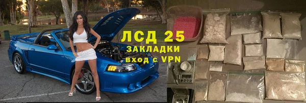 прущие грибы Покров