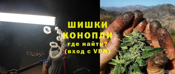 крисы Богданович