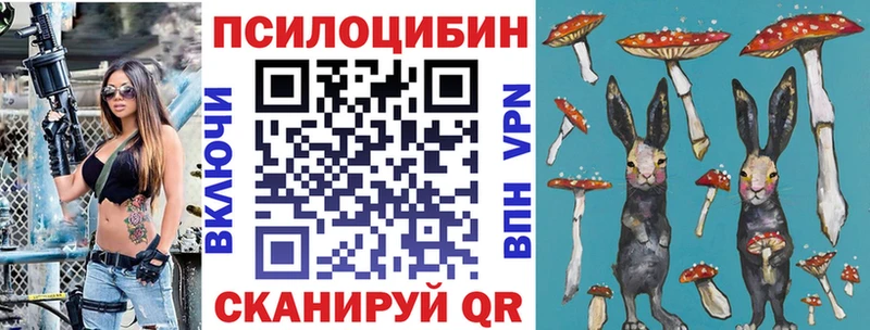 Галлюциногенные грибы MAGIC MUSHROOMS  mega ссылка  Ейск  где найти наркотики 